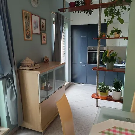 Family Friendly House With A Swimming Pool Barban, Istria - Sredisnja Istra - 27725 *